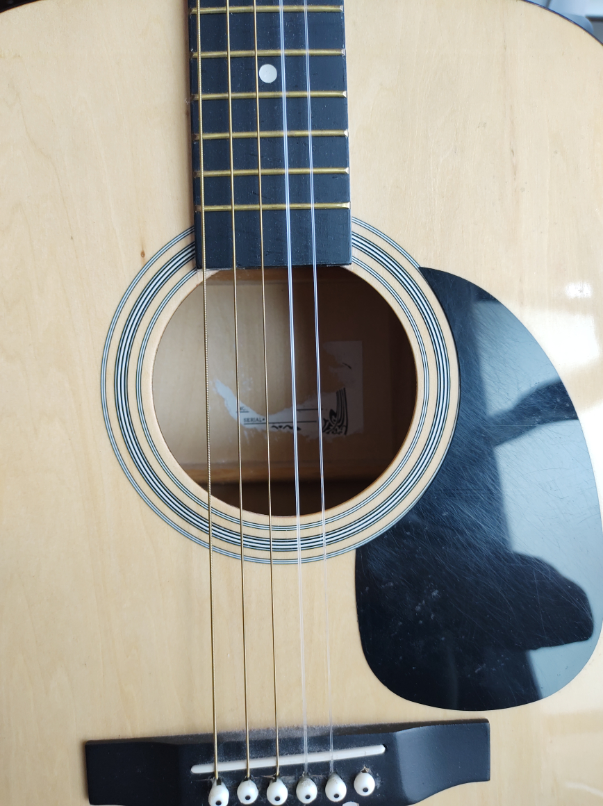 Acoustic Guitar - photo 4