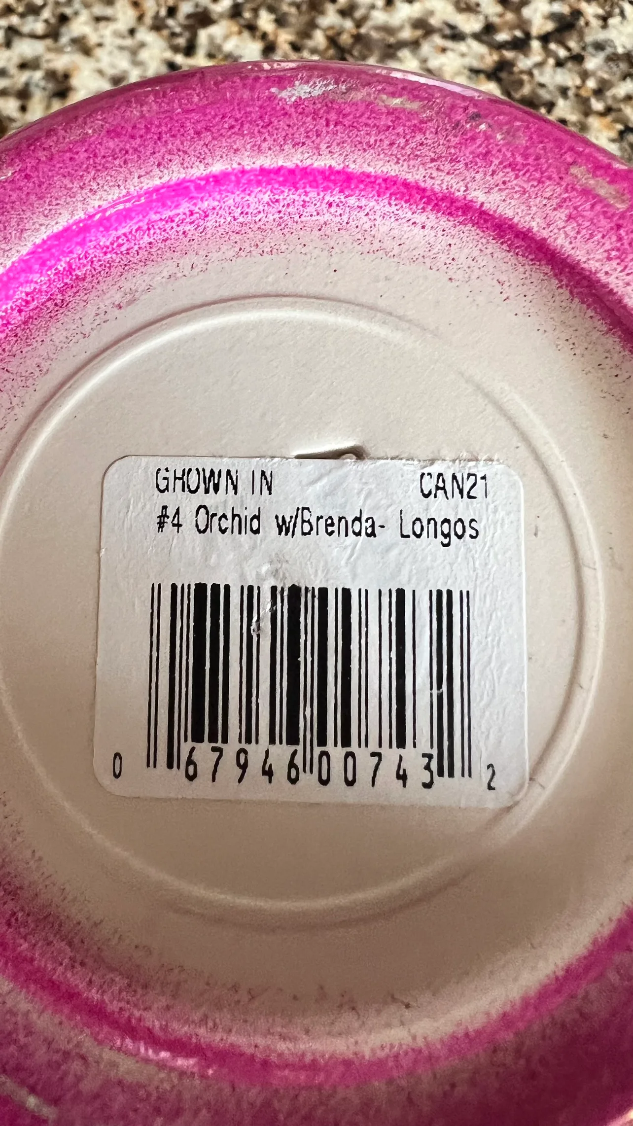 Pink Plant Pot 4inch image indicator(2)