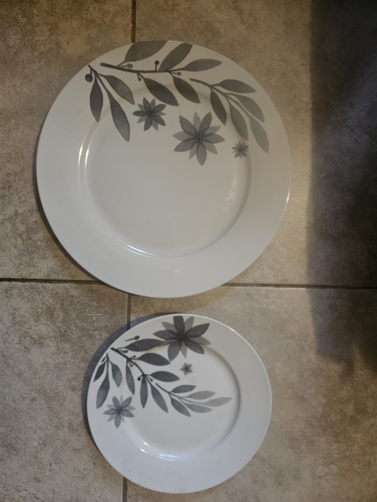 Glass Plates set