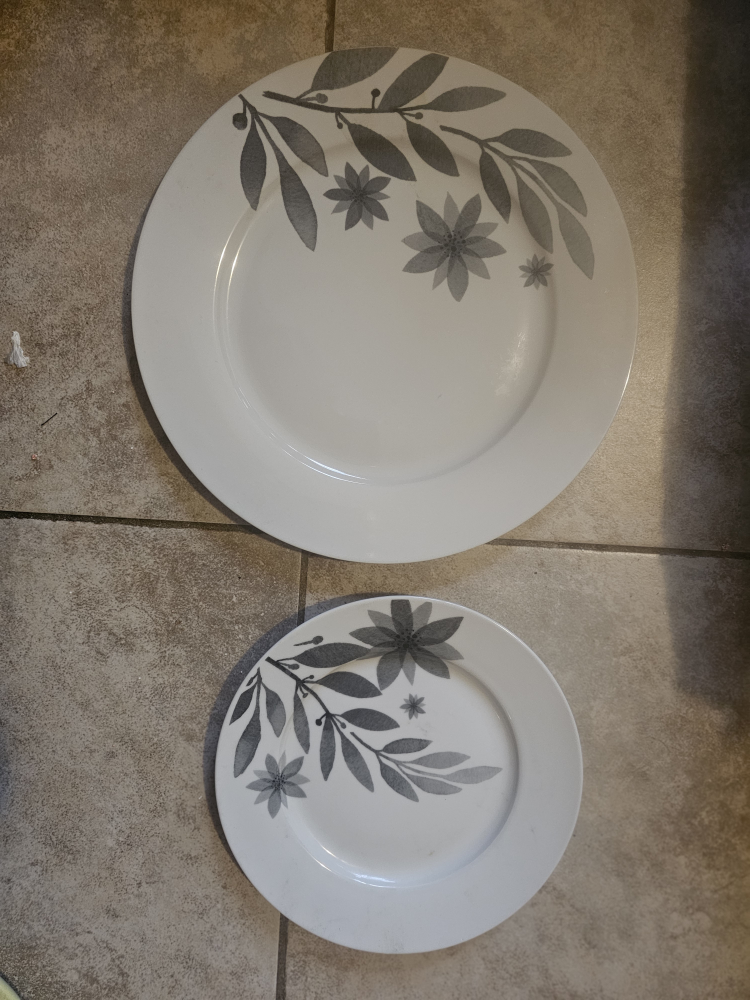 Glass Plates set - photo 2