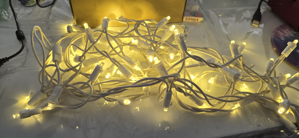 String of Warm White LED Lights