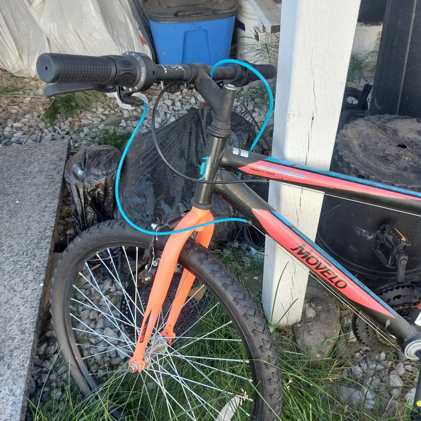 Movelo 24" Bike image indicator(5)