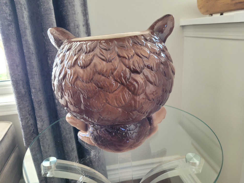Ceramic Halloween Owl Candy Bowl - photo 4