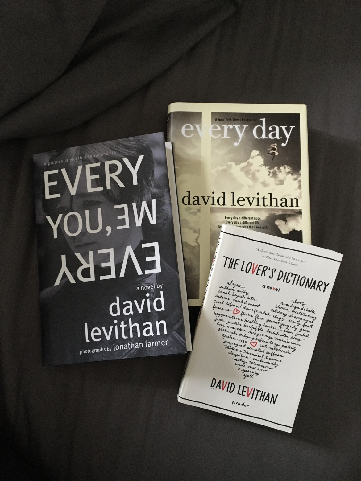 BOOK BUNDLE - Teen Fiction - David Levithan