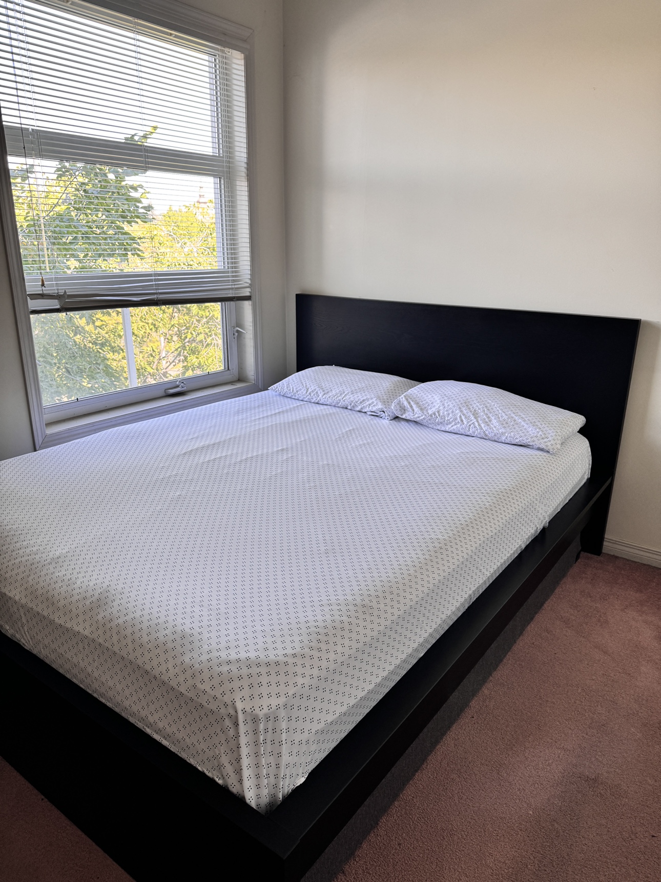 IKEA Malm Queen Bed Frame + Mattress - photo 3
