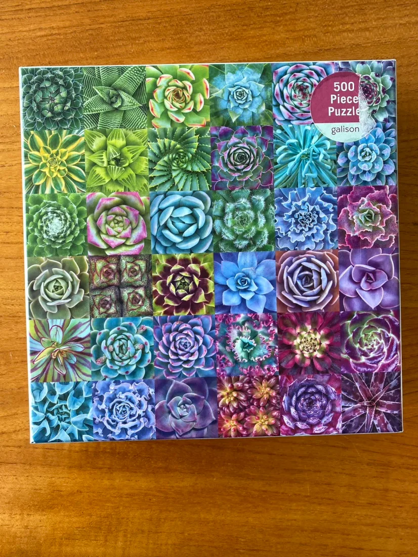 Gallison 500 Piece Puzzle: Succulents thumbnail