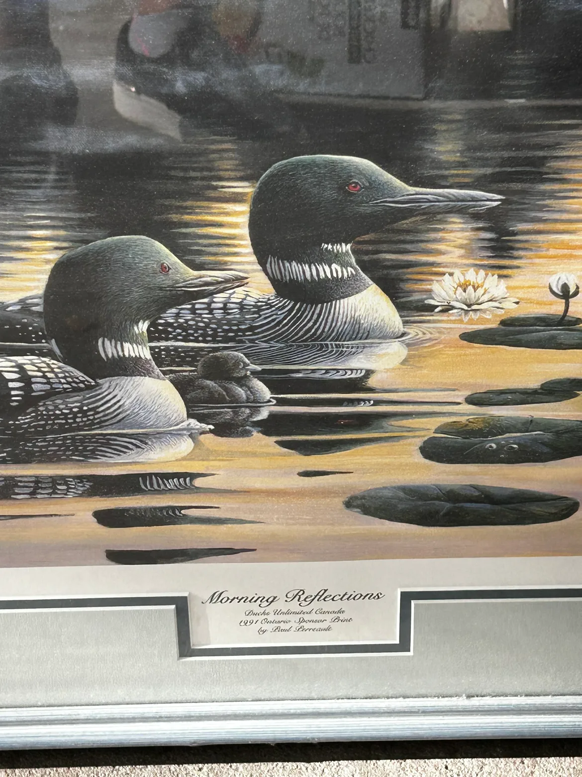 Paul Perrault - Morning Reflections Framed Print image indicator(5)