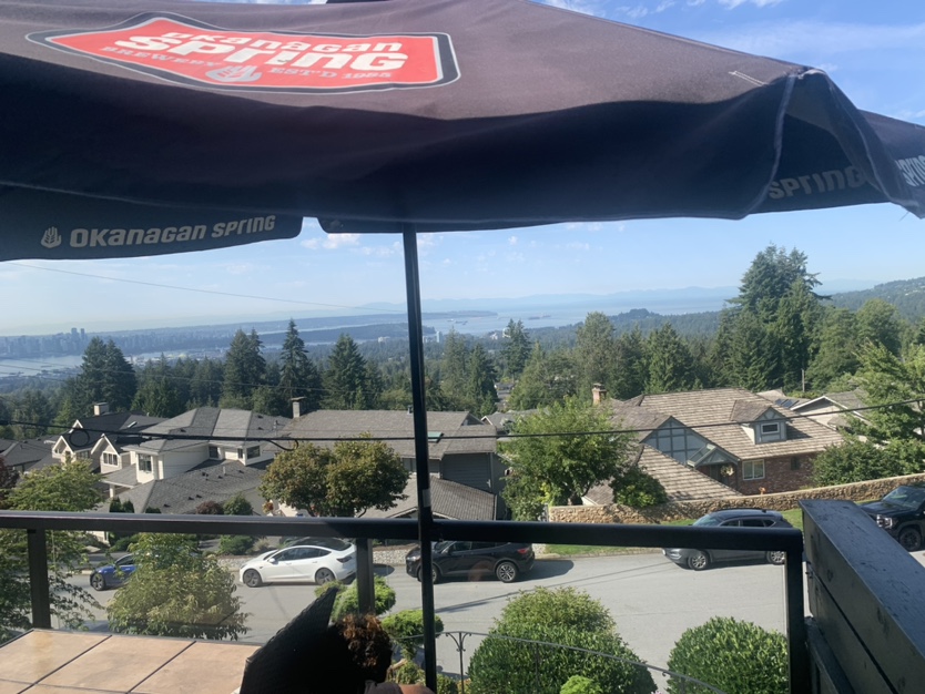 Okanagan Spring Patio Umbrella - photo 2
