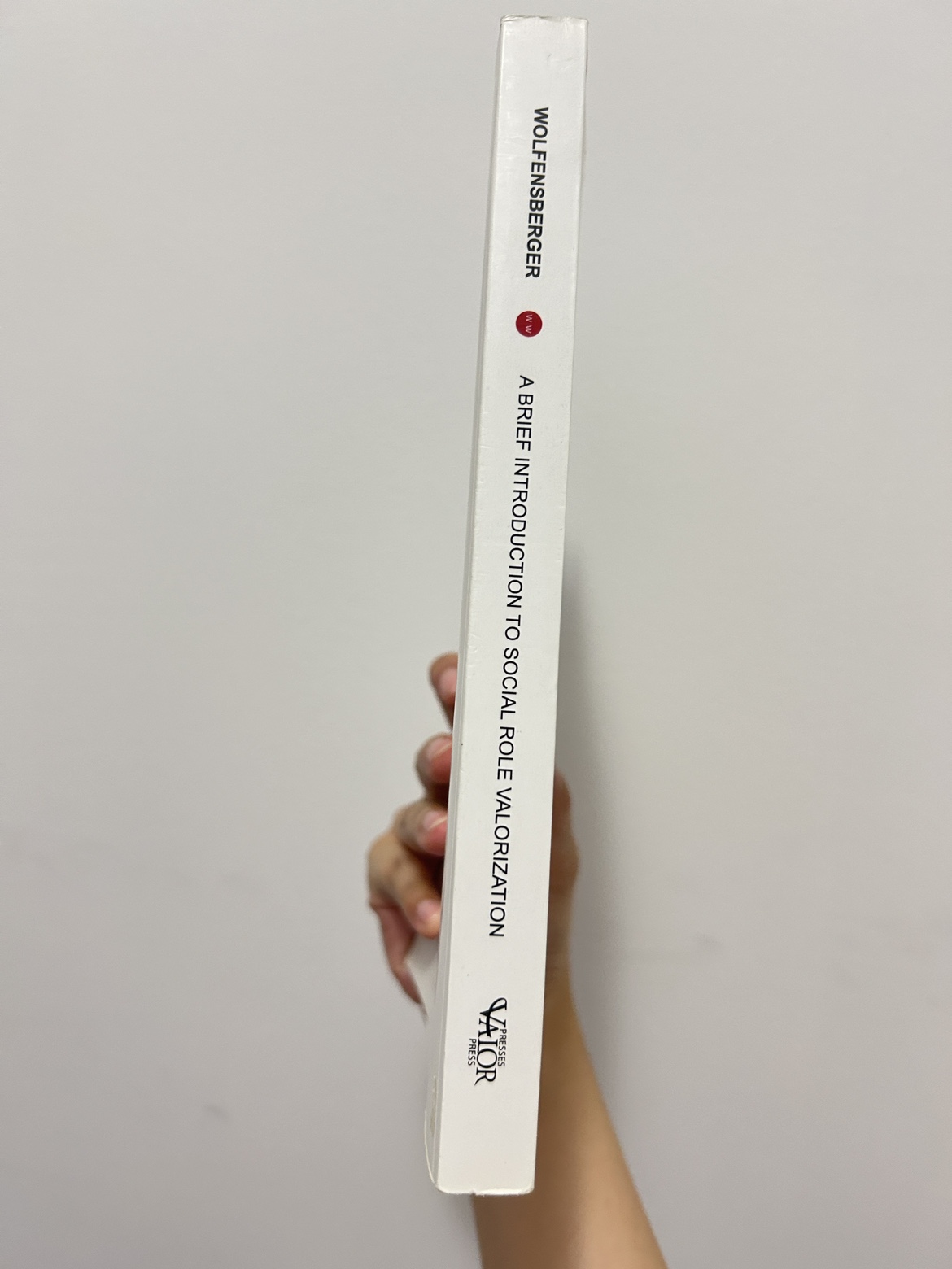 A Brief Introduction To Social Role Valorization - photo 2