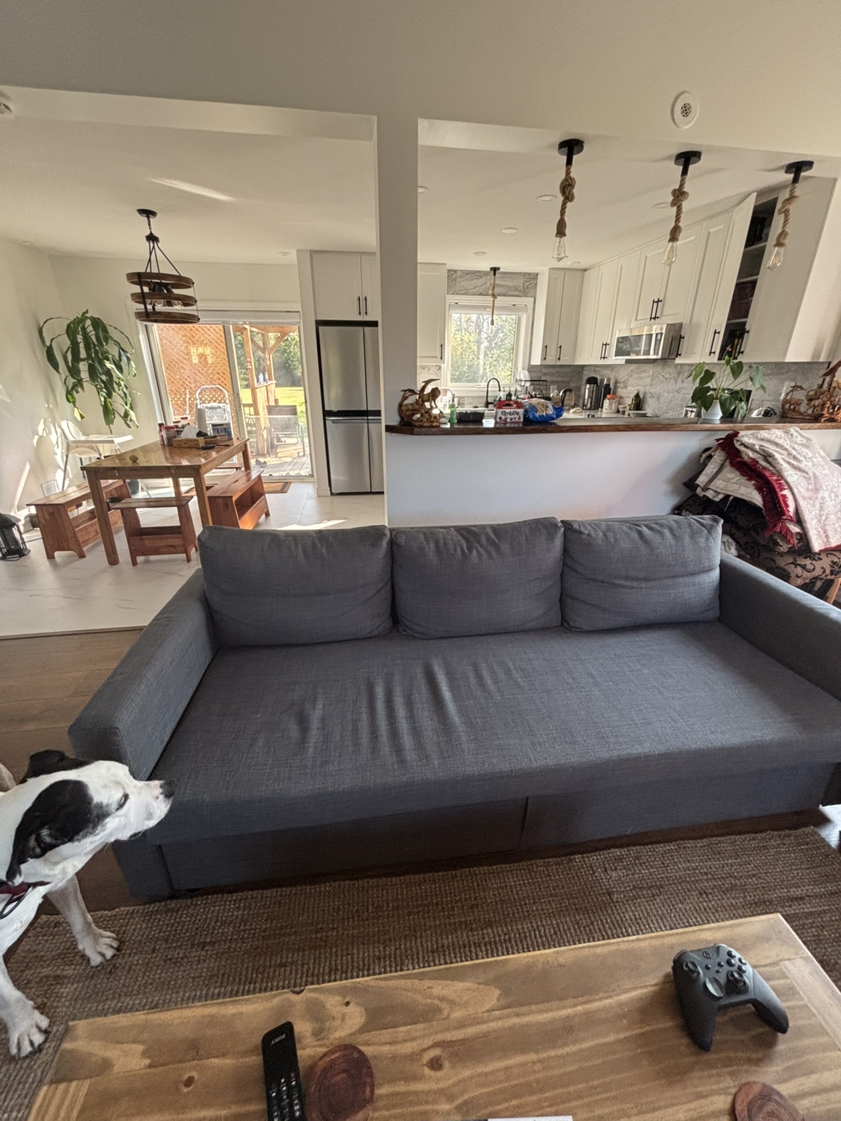 Free Sofa - photo 2