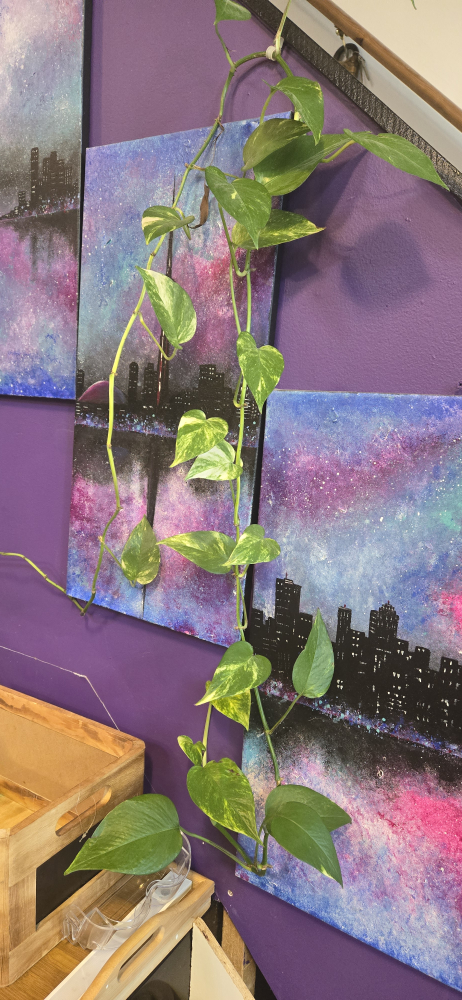 Golden Pothos Plants - photo 3