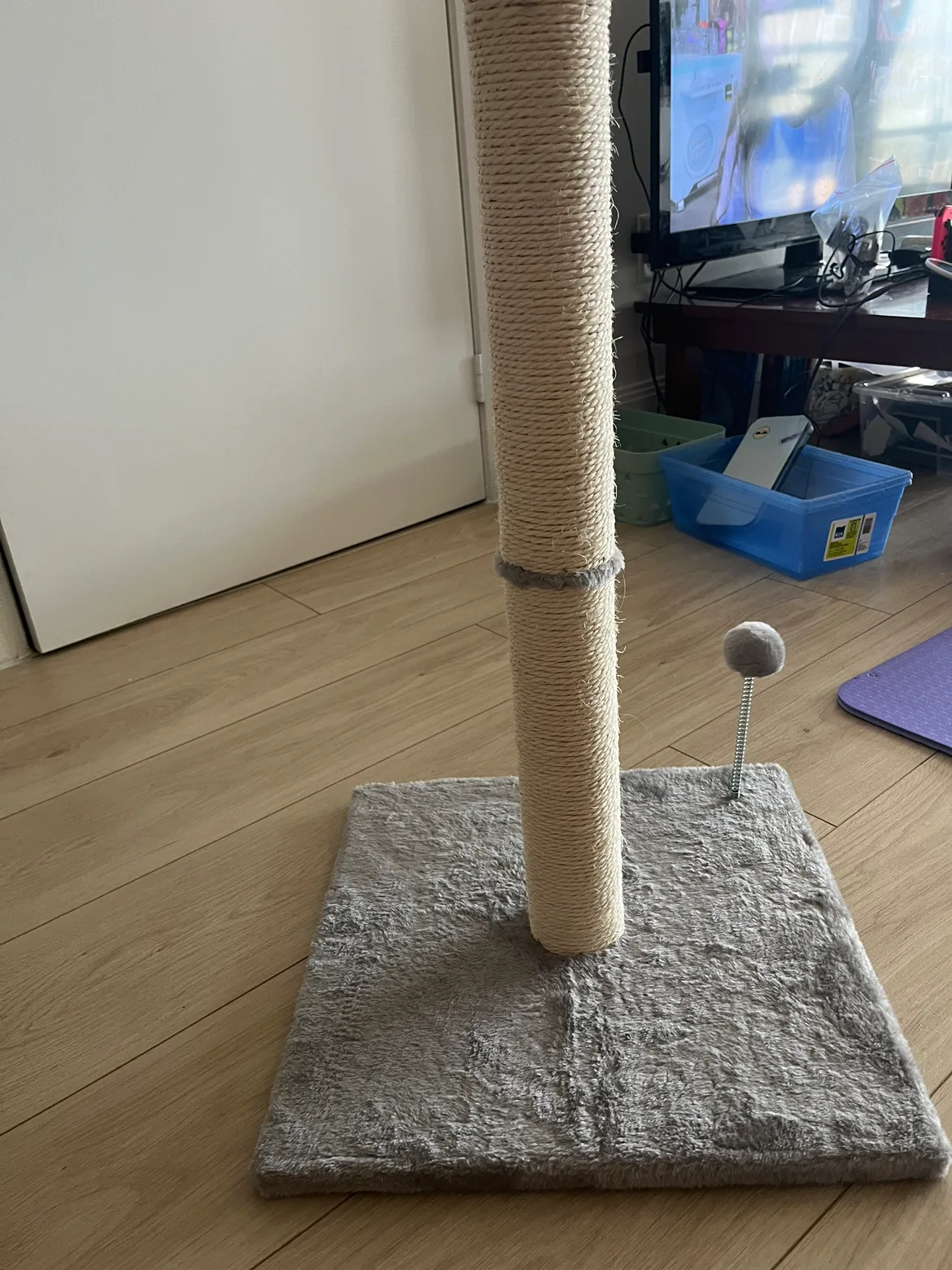 Cat Scratching Post thumbnail