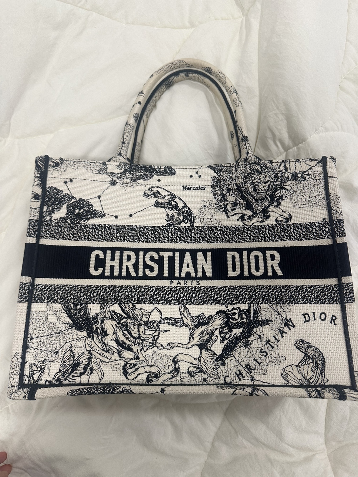 Dior Book Tote Jodiac medium authentic