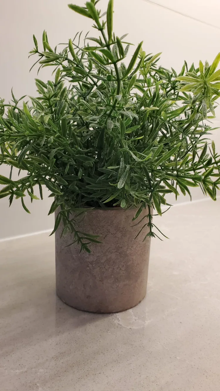 Fake plant image indicator(3)