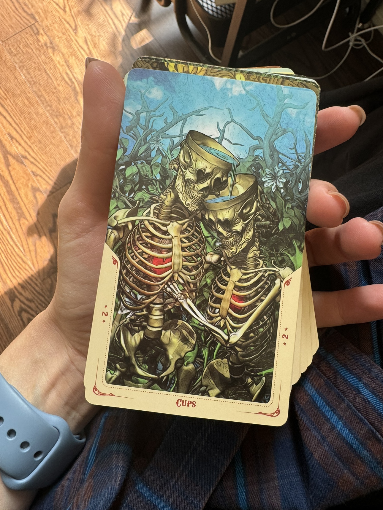 Santa Muerte Tarot Deck - photo 3