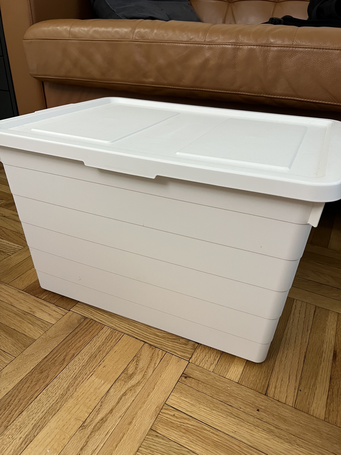 Storage Bins with Lids (IKEA)