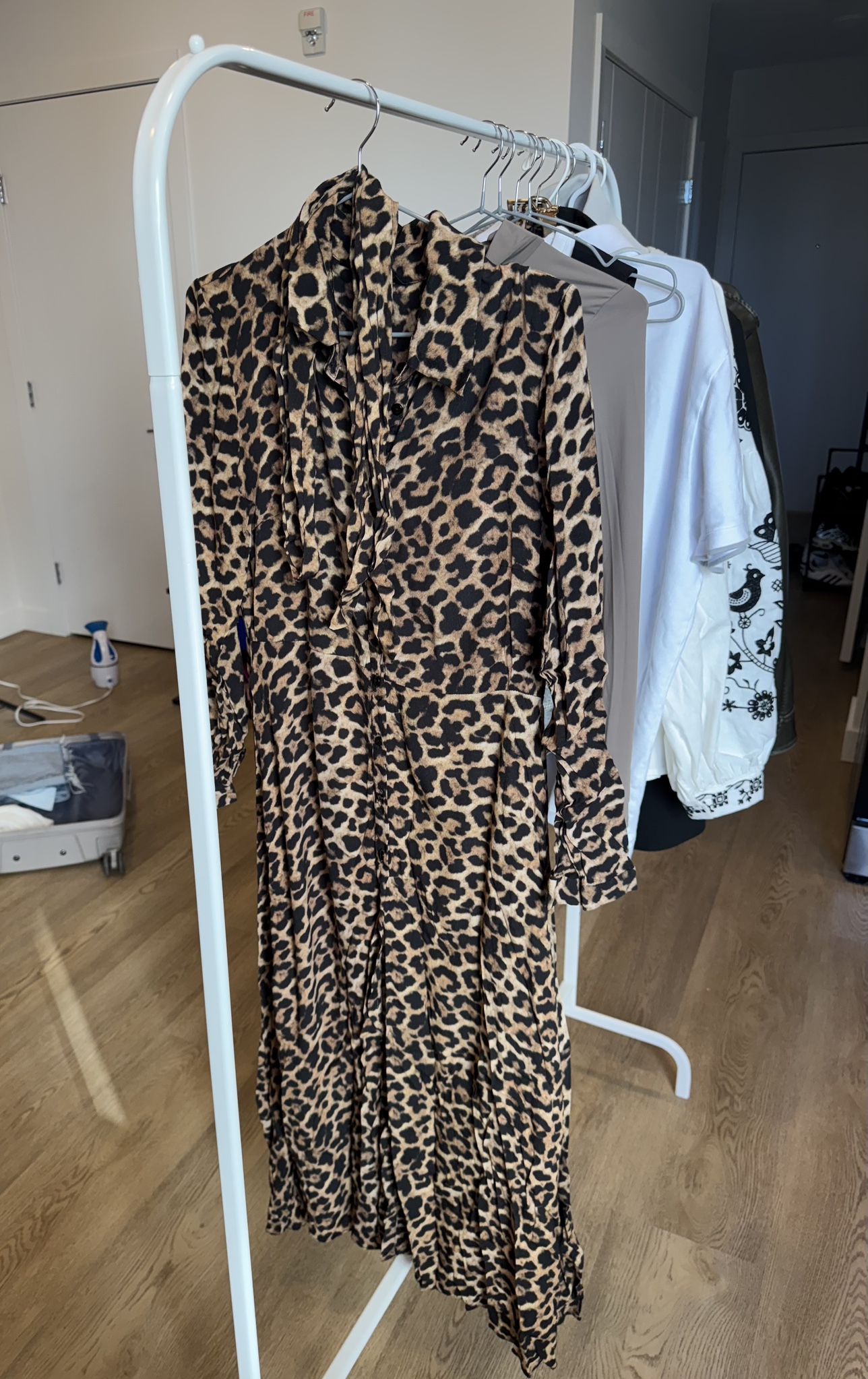 Zara Leopard Print Dress