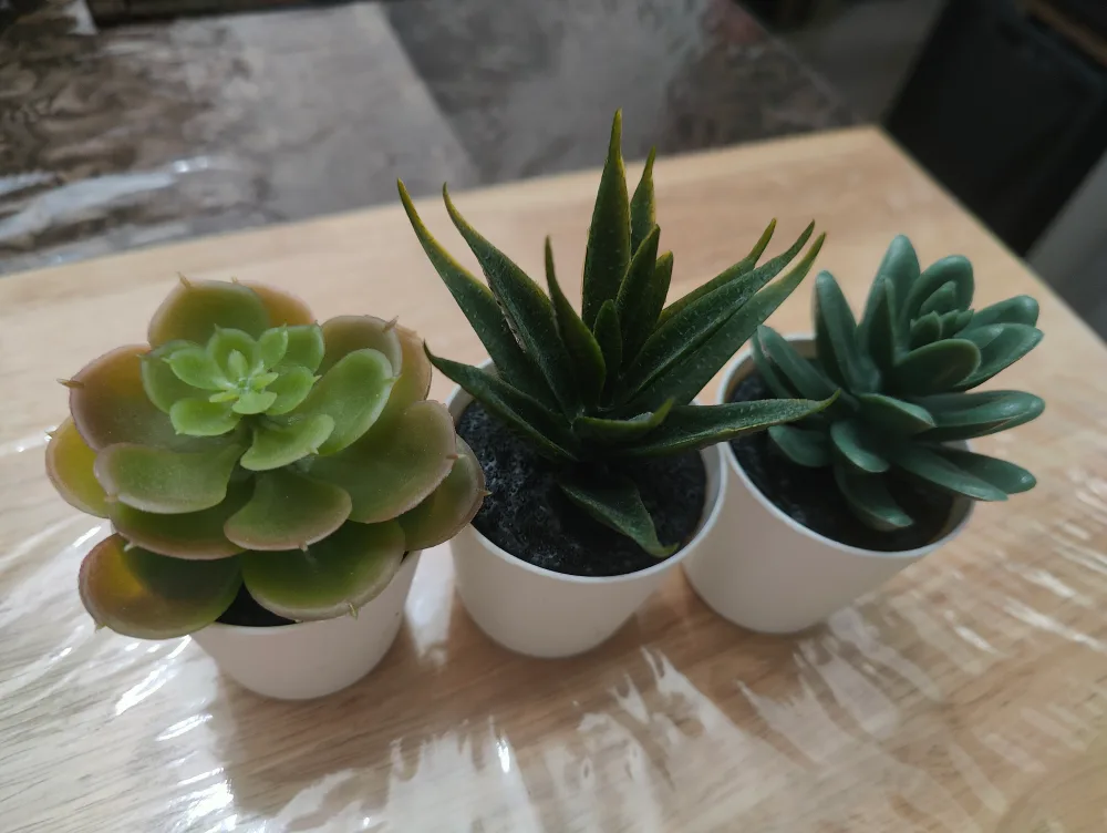 Artificial Succulents thumbnail