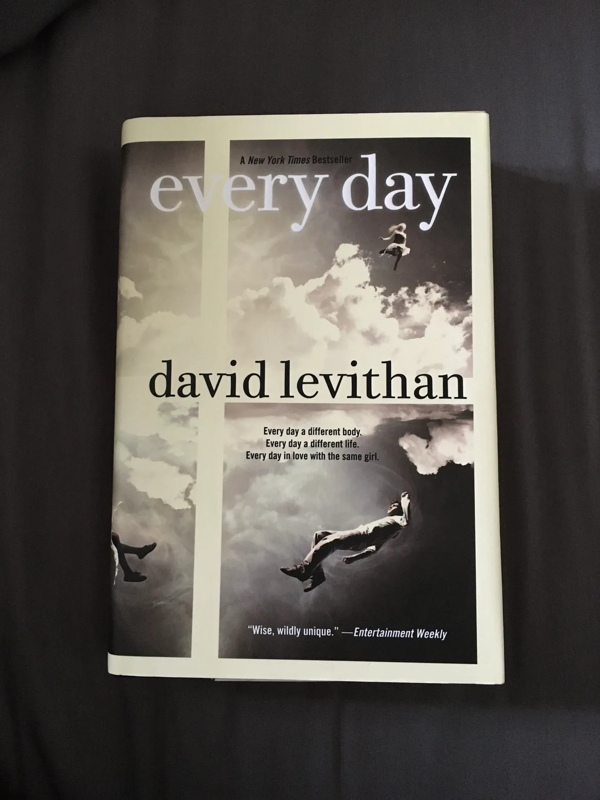 BOOK BUNDLE - Teen Fiction - David Levithan image indicator(3)
