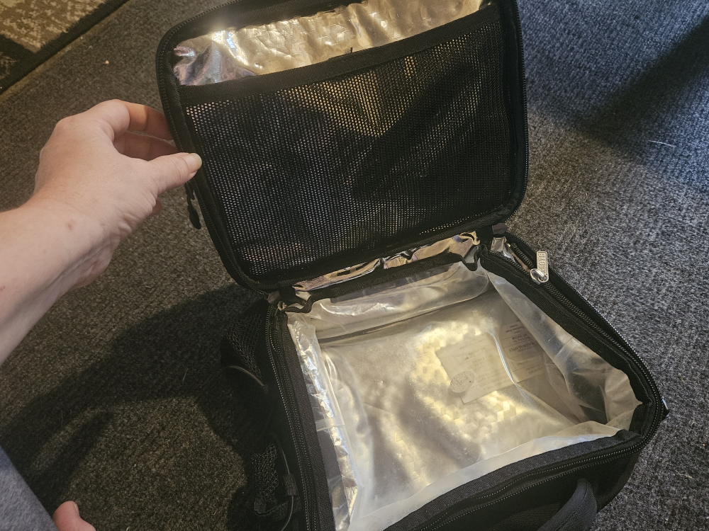 Roots Lunch Bag - photo 3