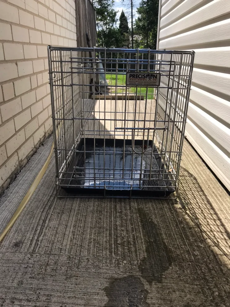 Dog cage thumbnail