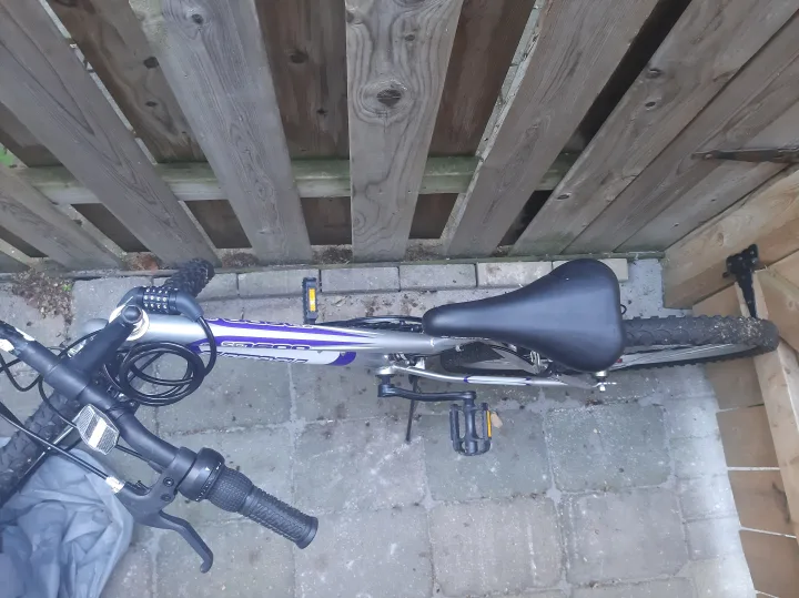 Bicycle image indicator(2)