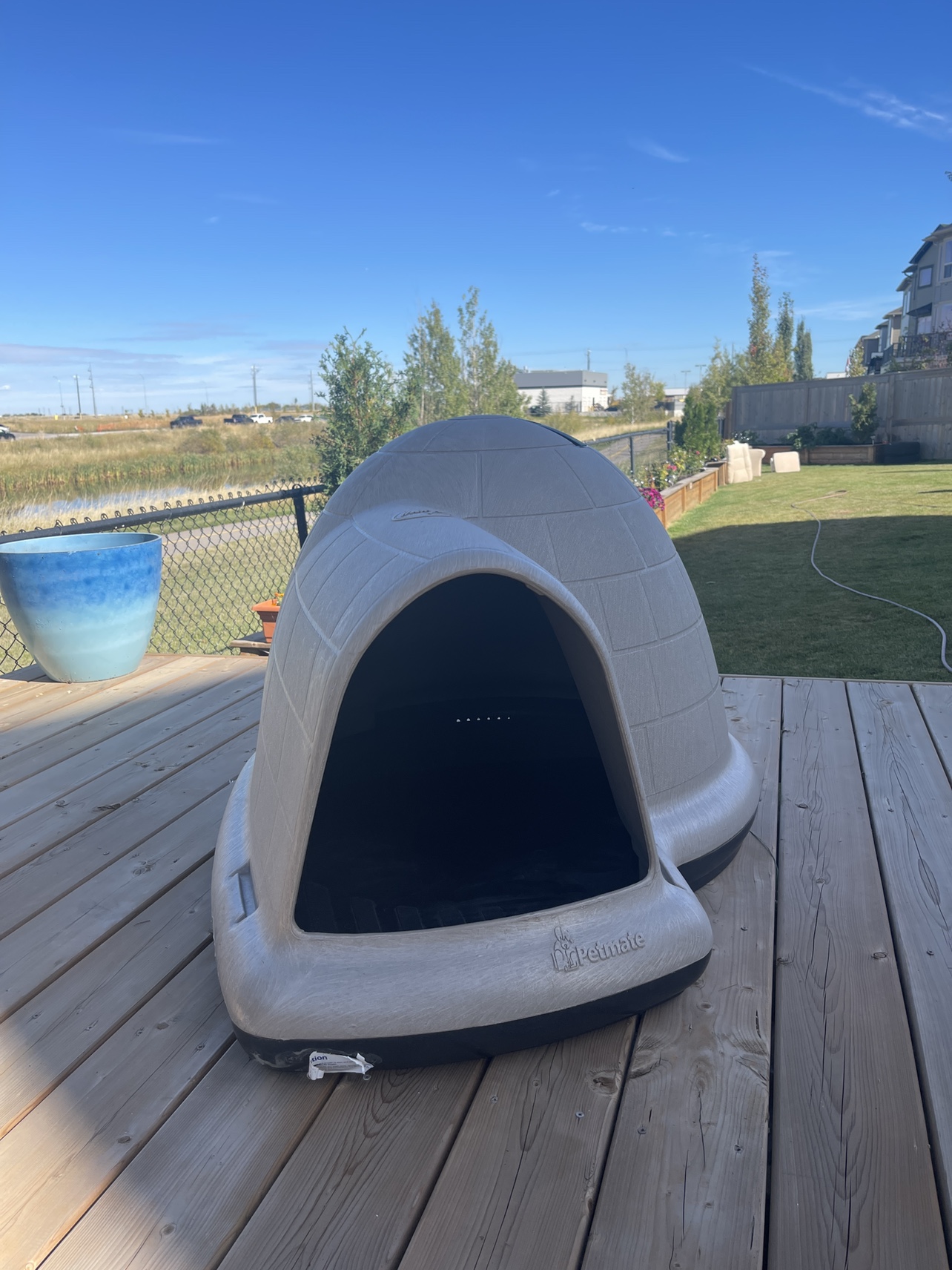 Dog House