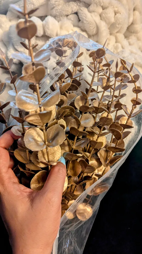 Gold Eucalyptus Stems thumbnail
