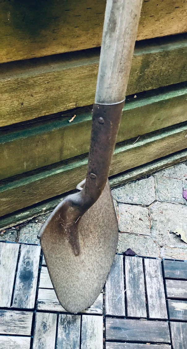 Garden Shovel 🧡 image indicator(2)