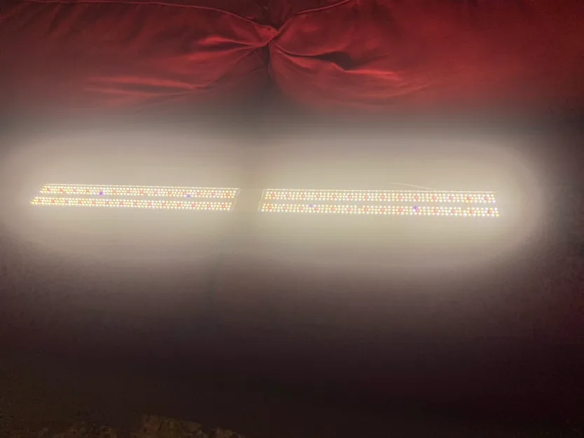 MARSHYDRO SP 250 Led Grow Lights Full Spectrum image indicator(5)