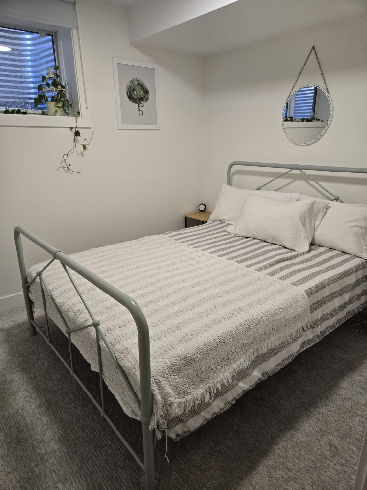 Light green metal bed frame