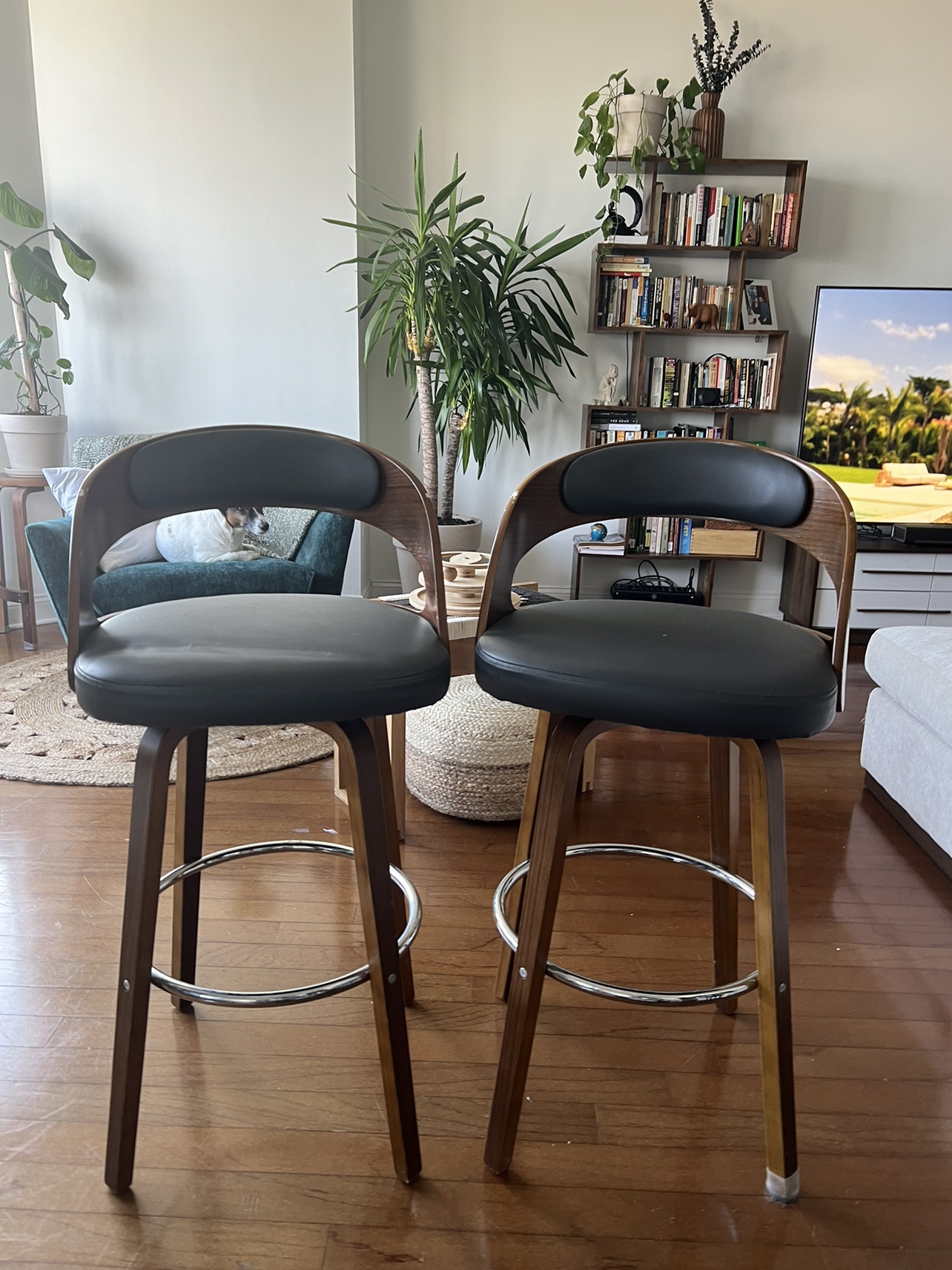 Swivel Bar Stools