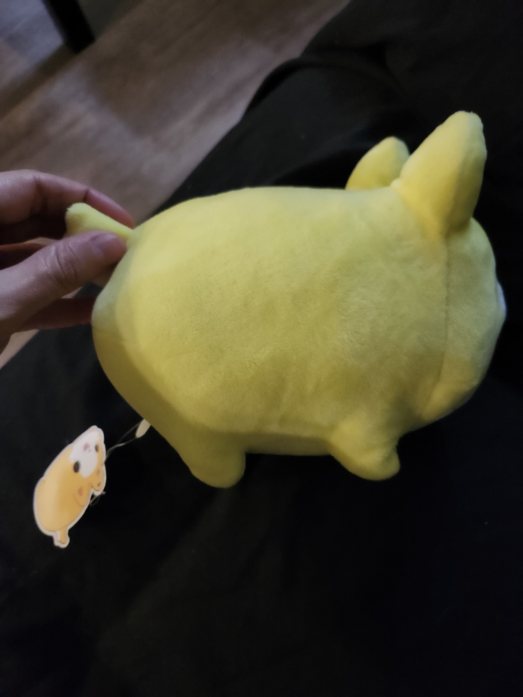 $5 tasty peach corgi plush (5") (NWT) - photo 3
