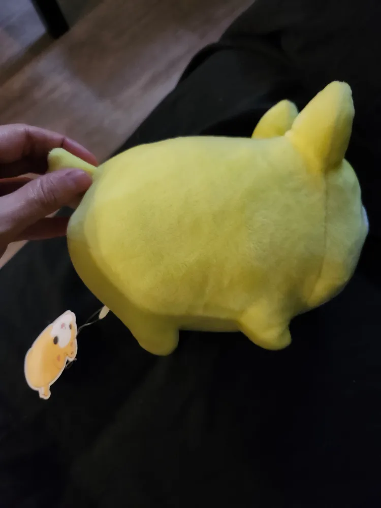 $10 tasty peach corgi plush (5") (NWT) image indicator(3)