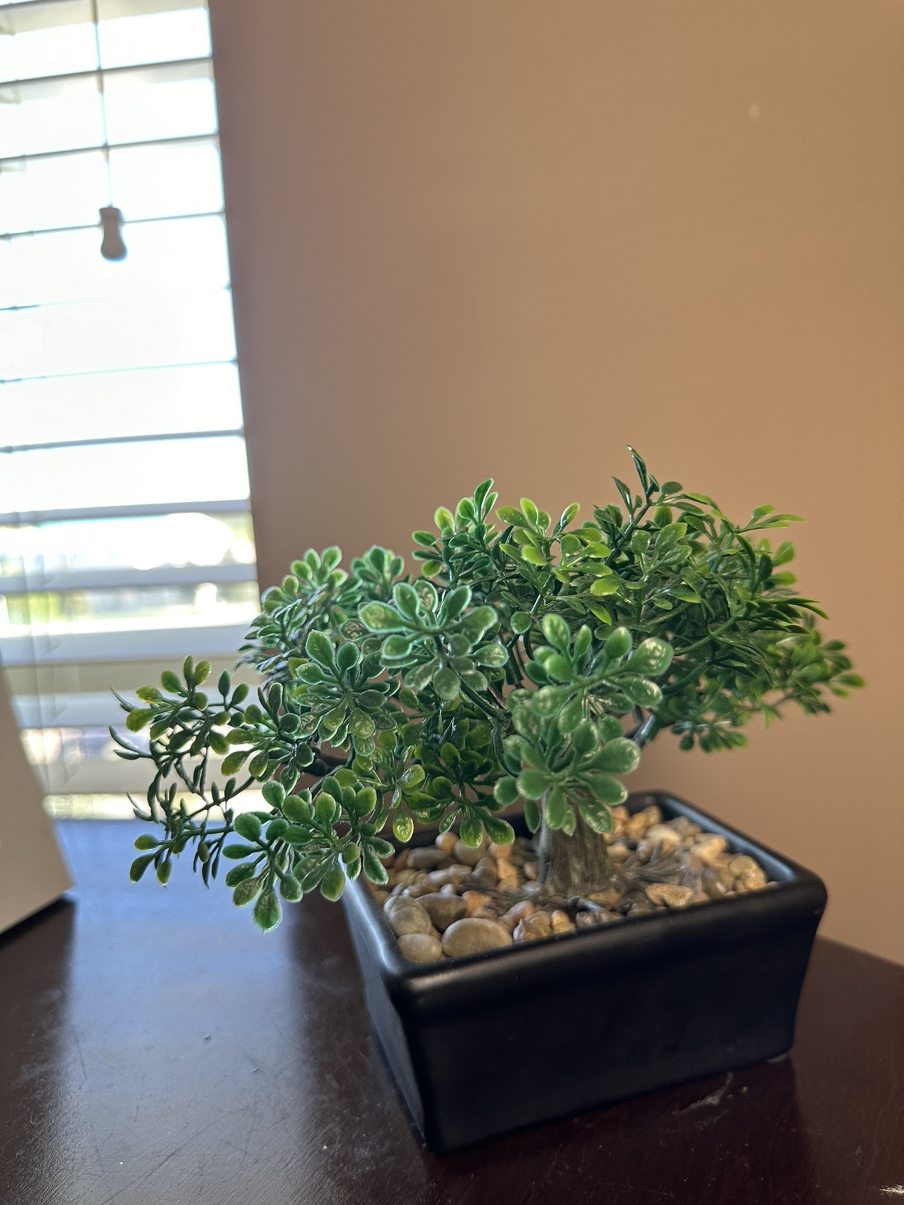 Moving sale: Artificial Bonsai Tree - photo 2