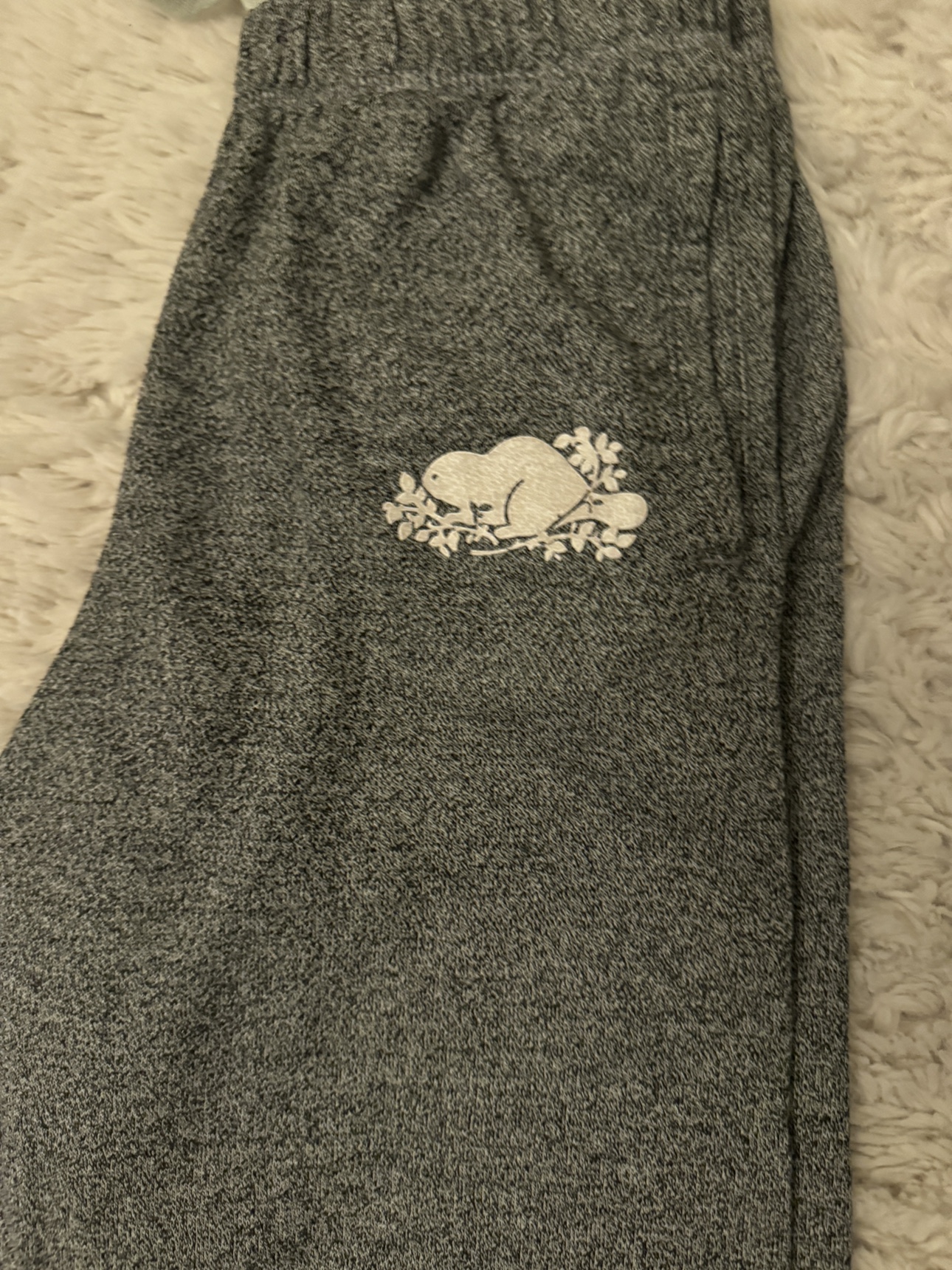 Roots Grey Sweatpants - photo 2