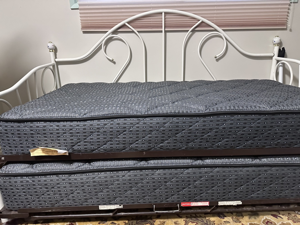 Moving - White Metal Day Bed with Pull-Out Trundle - photo 2