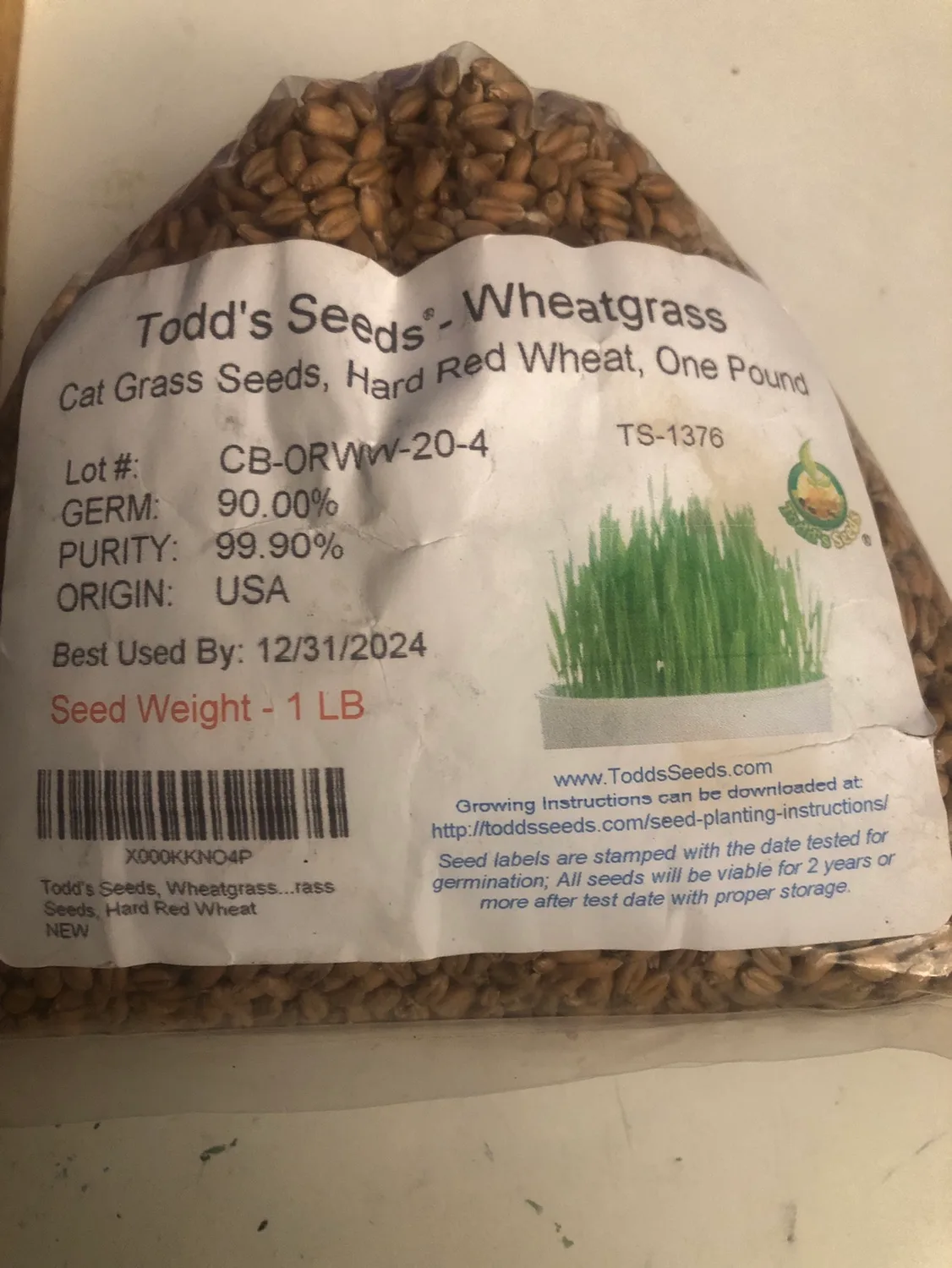 Todd's Seeds - Wheatgrass thumbnail