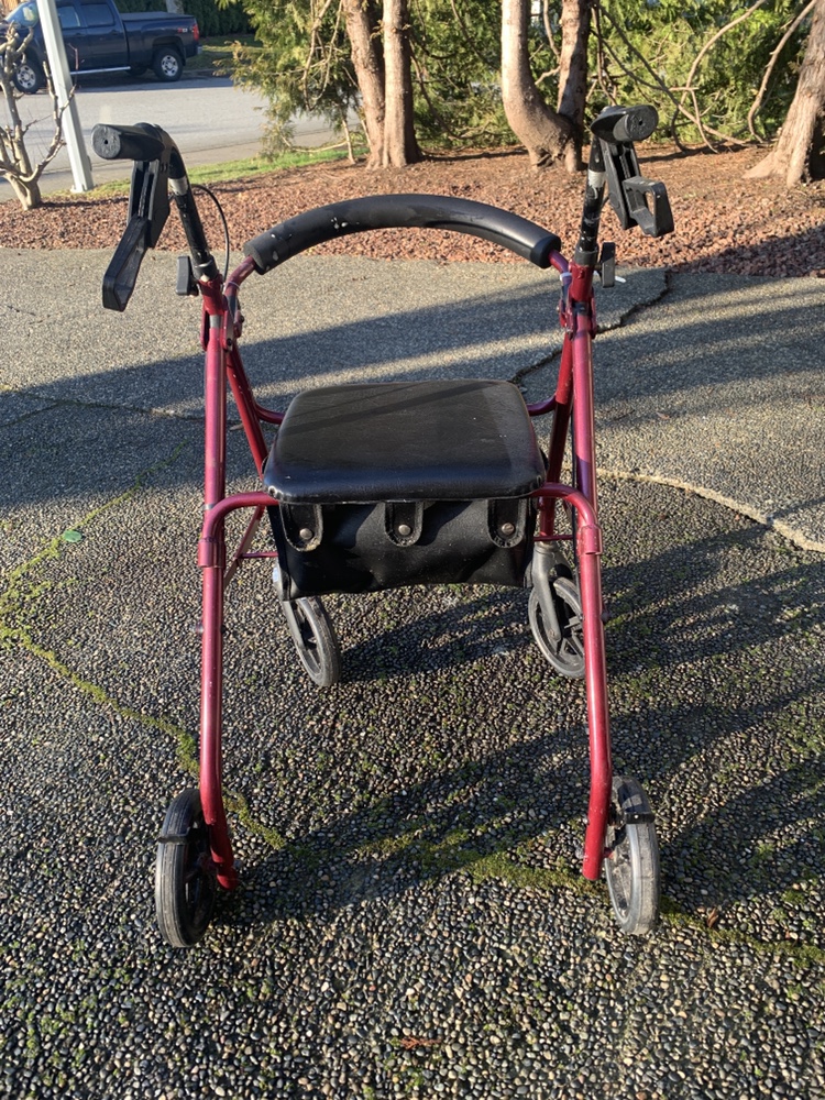 Rolling Walker with Seat - photo 2