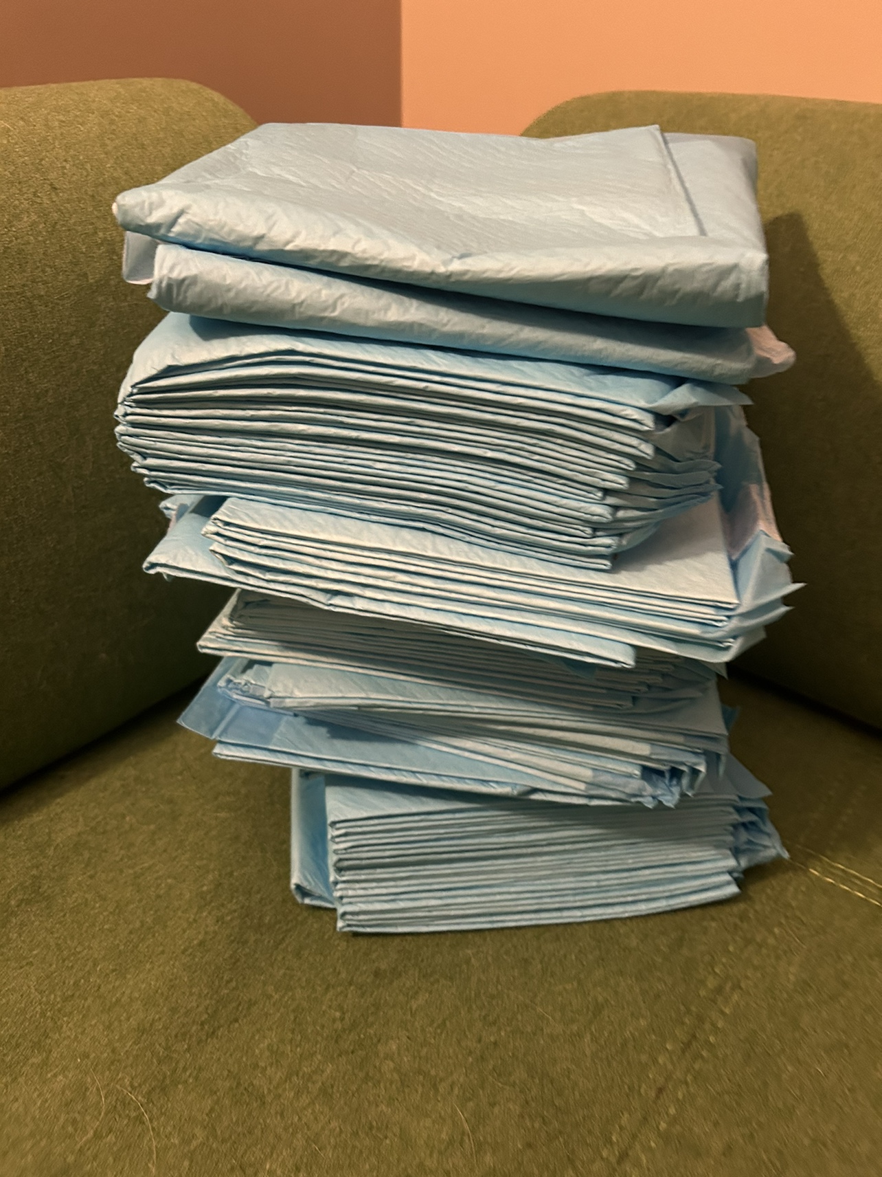 45 Pet Pads in Exchange District