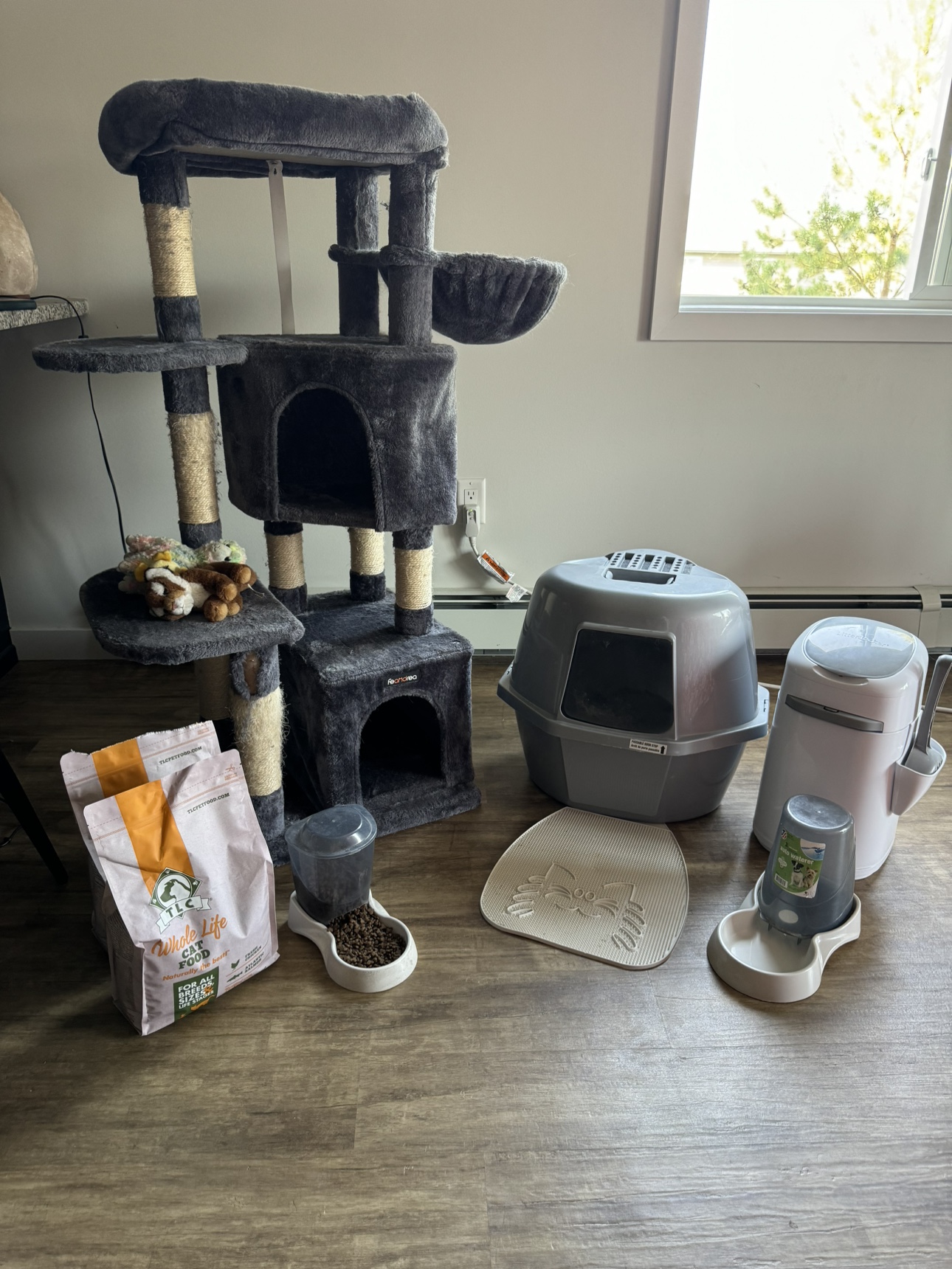 Cat starter kit