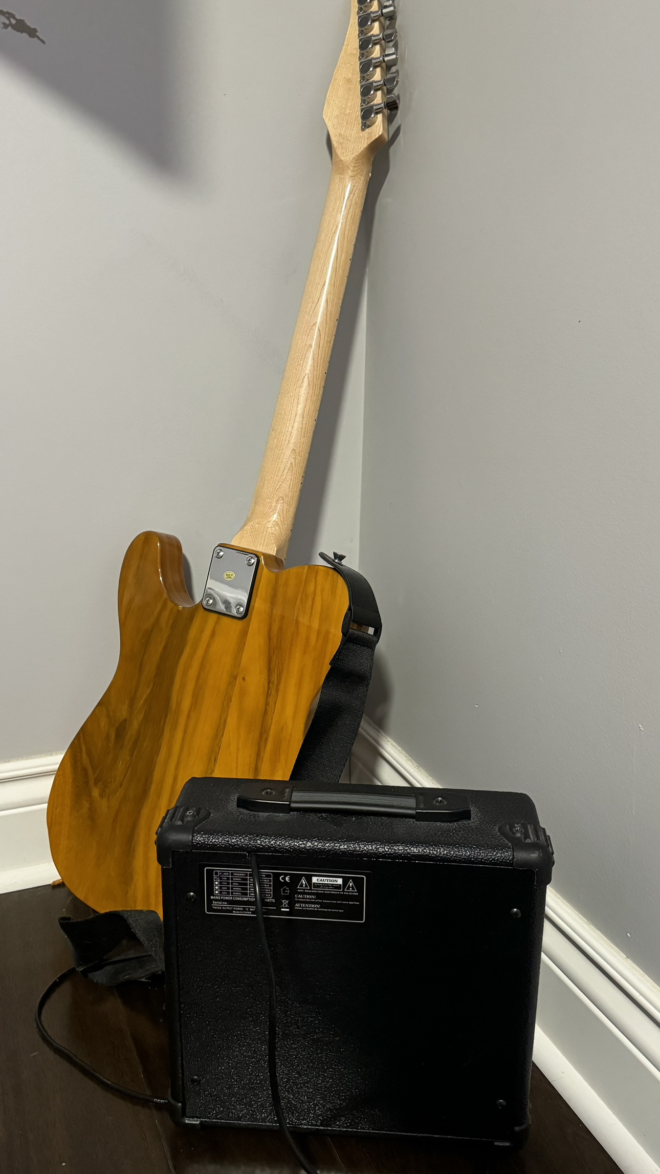 Electric Guitar and Amp - photo 4