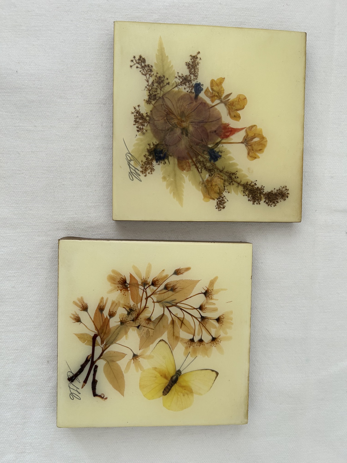 Set of Two Pressed Flower Art #freecycle