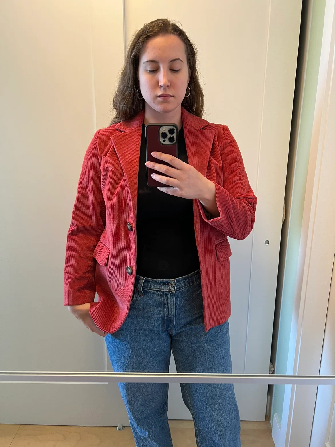 Luxury Pink Corduroy Blazer image indicator(2)