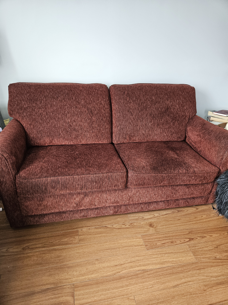 La-Z-Boy Loveseat/pullout
