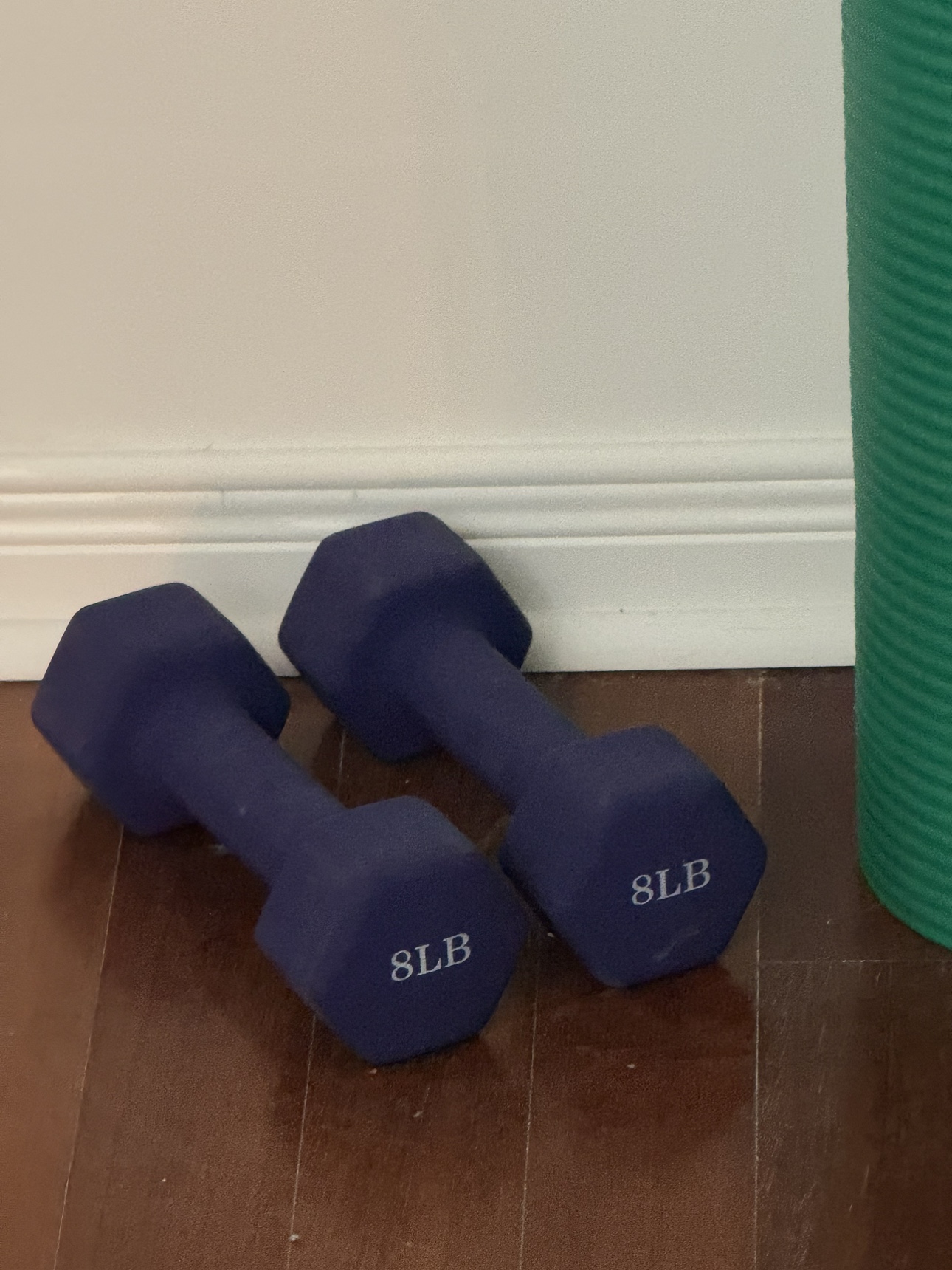 8lb Dumbbells and Yoga Mat