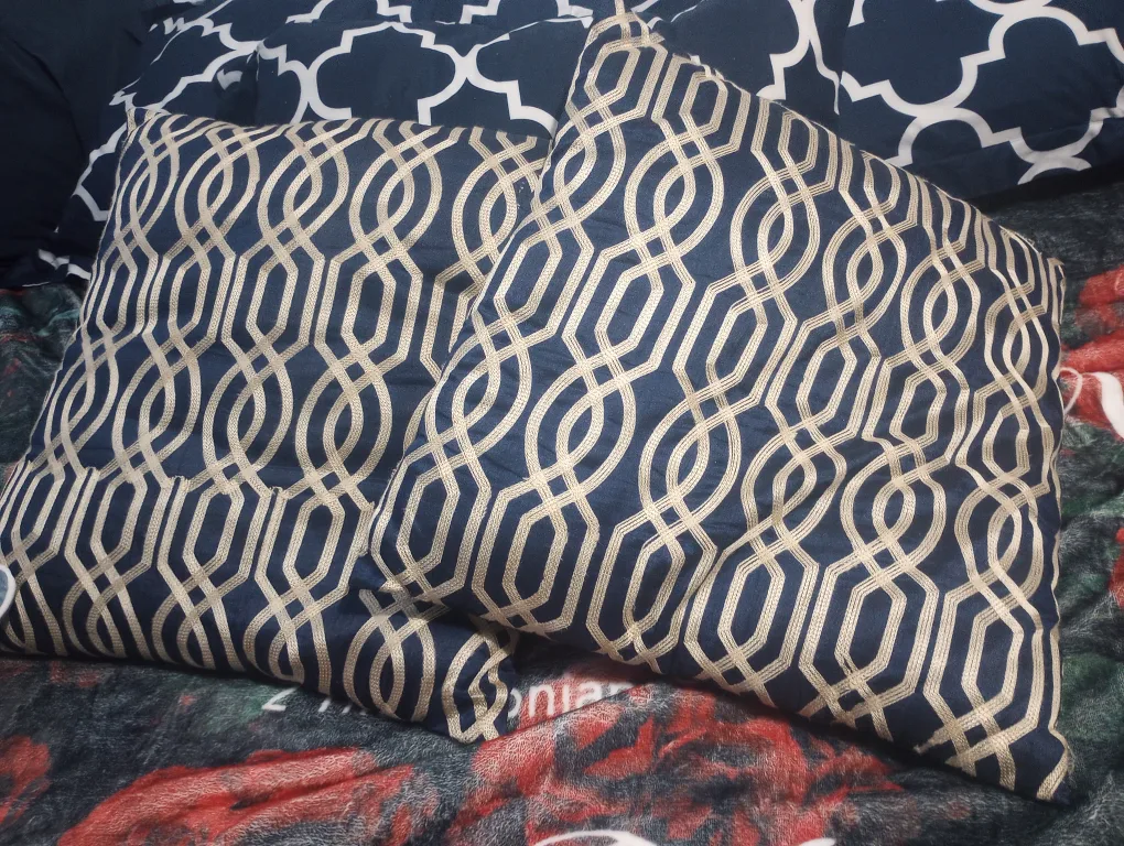 2 Decorative Pillows thumbnail