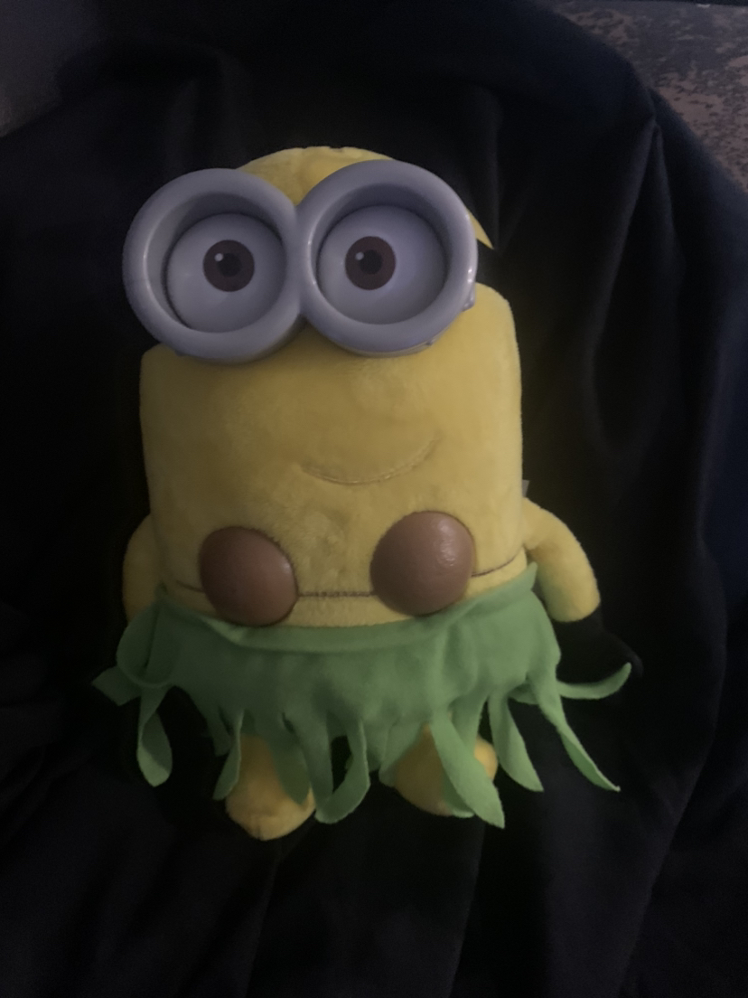 $15 minion talking hula Jerry plush 10”