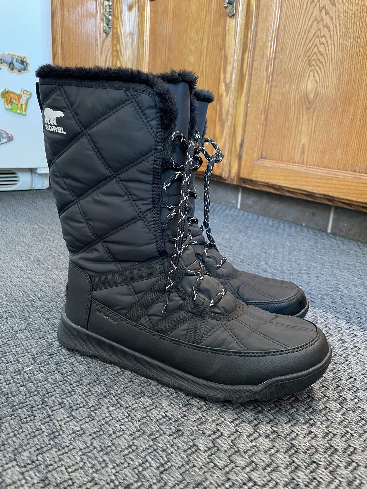 Sorel Winter Boots