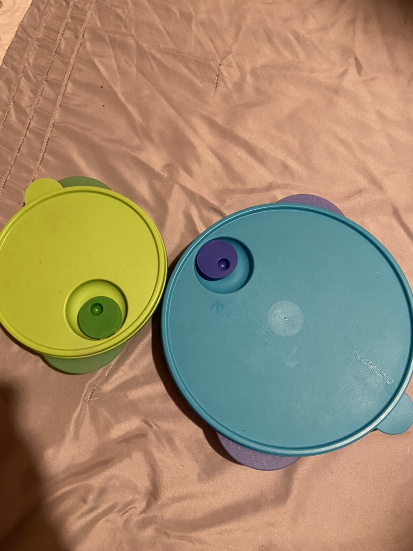 Tupperware Divided Serving Dishes - photo 2